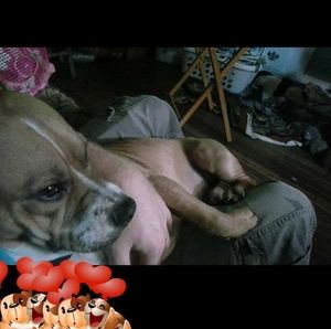 Meet your Posher, Summer